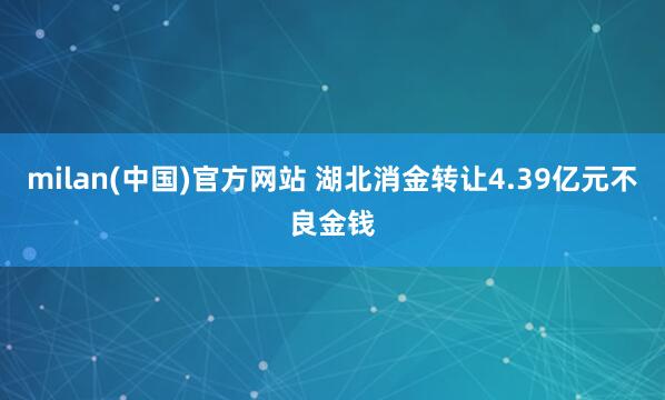 milan(中国)官方网站 湖北消金转让4.39亿元不良金钱