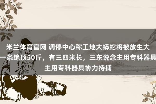 米兰体育官网 调停中心称工地大蟒蛇将被放生大山：最大一条绝顶