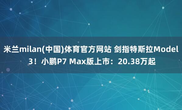 米兰milan(中国)体育官方网站 剑指特斯拉Model 3