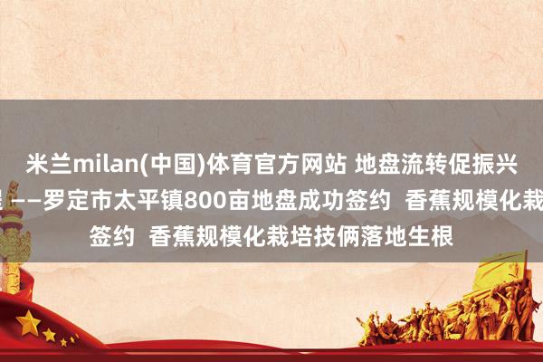 米兰milan(中国)体育官方网站 地盘流转促振兴 千亩蕉林启新程 ——罗定市太平镇800亩地盘成功签约  香蕉规模化栽培技俩落地生根
