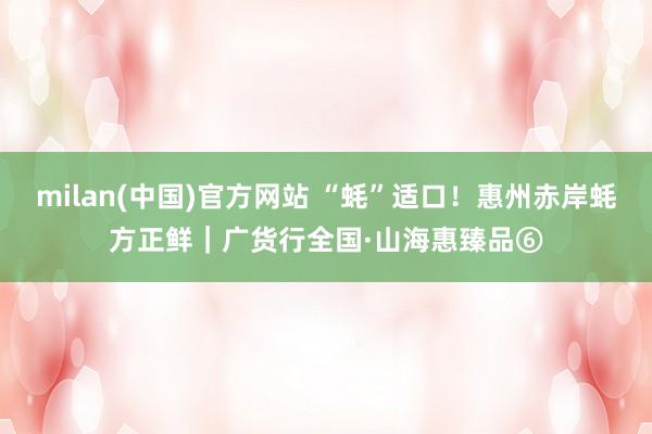 milan(中国)官方网站 “蚝”适口！惠州赤岸蚝方正鲜｜广货行全国·山海惠臻品⑥