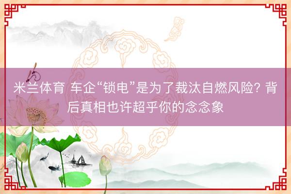 米兰体育 车企“锁电”是为了裁汰自燃风险? 背后真相也许超乎你的念念象