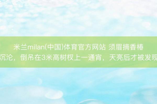 米兰milan(中国)体育官方网站 须眉摘香椿沉沦,倒吊在3米高树杈上一通宵,天亮后才被发现