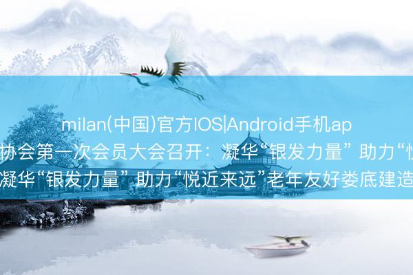 milan(中国)官方IOS|Android手机app下载 娄底市“五老”志愿者协会第一次会员大会召开：凝华“银发力量” 助力“悦近来远”老年友好娄底建造