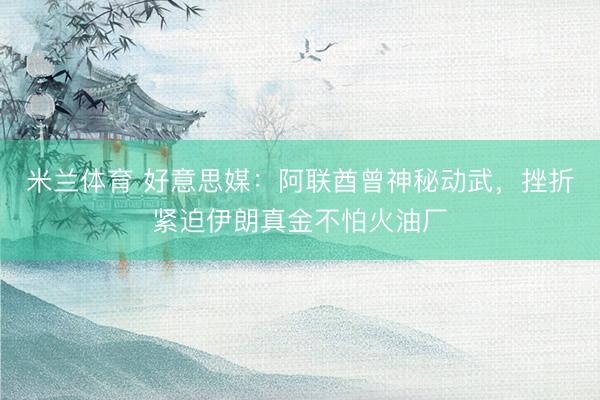 米兰体育 好意思媒:阿联酋曾神秘动武,挫折紧迫伊朗真金不怕火油厂