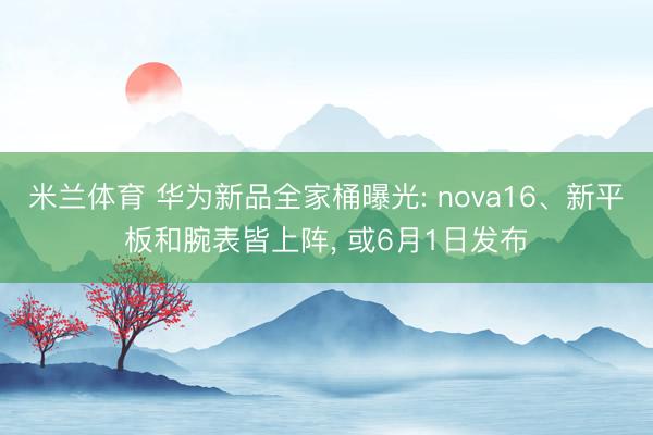 米兰体育 华为新品全家桶曝光: nova16、新平板和腕表皆上阵, 或6月1日发布