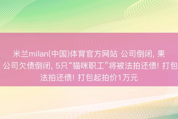 米兰milan(中国)体育官方网站 公司倒闭, 果然拍卖职工? 公司欠债倒闭, 5只“猫咪职工”将被法拍还债! 打包起拍价1万元