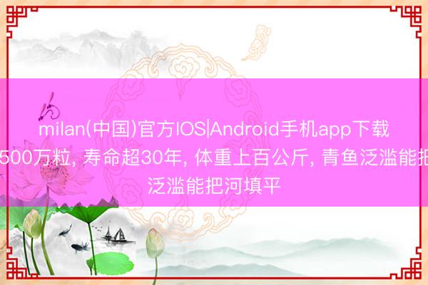 milan(中国)官方IOS|Android手机app下载 产卵超500万粒, 寿命超30年, 体重上百公斤, 青鱼泛滥能把河填平