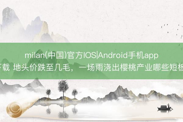 milan(中国)官方IOS|Android手机app下载 地头价跌至几毛,一场雨浇出樱桃产业哪些短板?