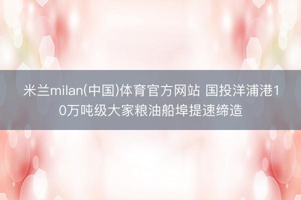米兰milan(中国)体育官方网站 国投洋浦港10万吨级大家粮油船埠提速缔造