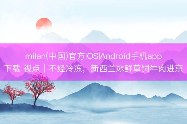 milan(中国)官方IOS|Android手机app下载 视点|不经冷冻,新西兰冰鲜草饲牛肉进京