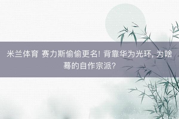 米兰体育 赛力斯偷偷更名! 背靠华为光环， 为啥蓦的自作宗派?
