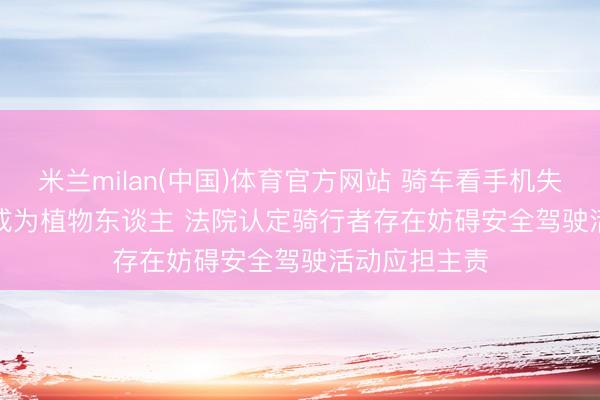 米兰milan(中国)体育官方网站 骑车看手机失慎绊倒摔伤成为植物东谈主 法院认定骑行者存在妨碍安全驾驶活动应担主责